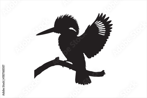 Kingfisher Silhouette vector 