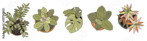 Set of different house plants top view. Potted flowers colorful icons for landscape, architectural, interior design. Hand drawn Vector flat illustrations isolated on transparent background.
