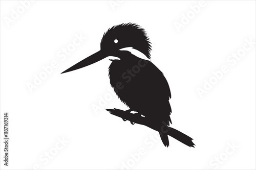 Kingfisher Silhouette vector 