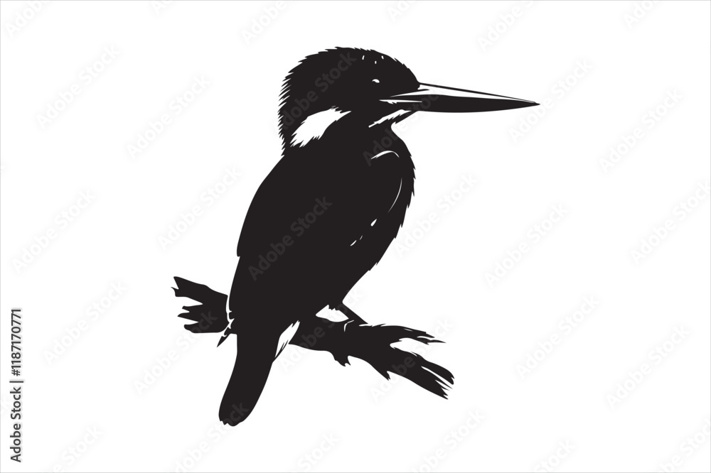Fototapeta premium Kingfisher Silhouette vector 