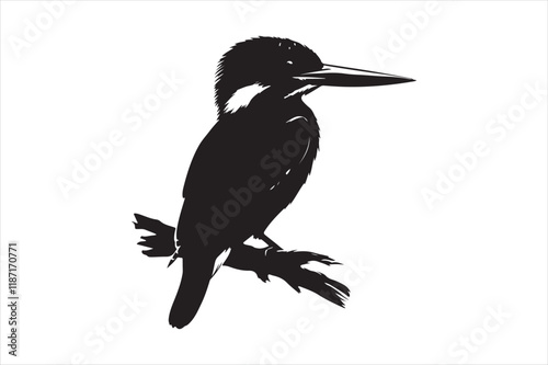 Kingfisher Silhouette vector 