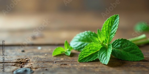 Fresh Mint Sprigs on Rustic Wooden Surface A Culinary and Aromatic Image