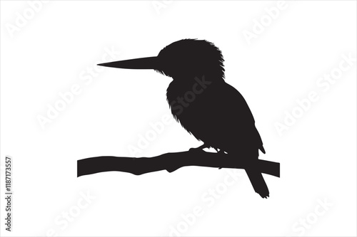 Kingfisher Silhouette vector 