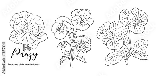 Set of Pansy, February birth month flower outline drawings. Modern minimalist hand drawn floral design for logo, tattoo, packaging, cards. Line art vector clipart on transparent background.