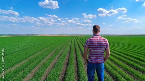 Farmer Surveying Green Field - Agriculture, growth, harvest, landscape, rural. A farmer contemplates a vast, vibrant green field, symbolizing abundance, nature, and the agricultural cycle. photo