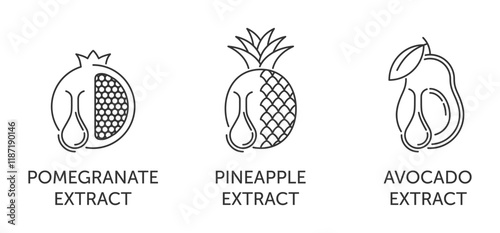 Pomegranate, Pineapple, Avocado extract. Icons set in thin line