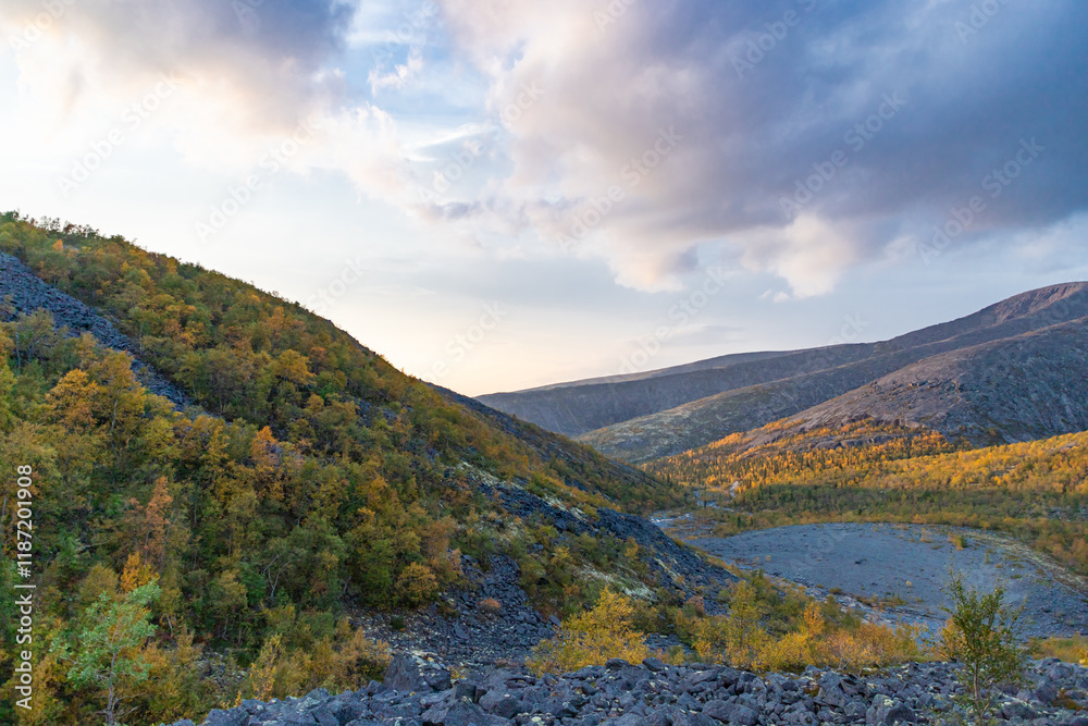 View to Mannepakhp river valley at Khibiny mountains. Stones and small trees. Early autumn in arctic tundra region. Kola peninsula, Murmansk region, Russia.