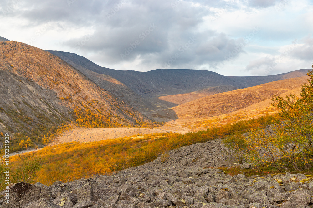 View to Mannepakhp river valley at Khibiny mountains. Stones and small trees. Early autumn in arctic tundra region. Kola peninsula, Murmansk region, Russia.