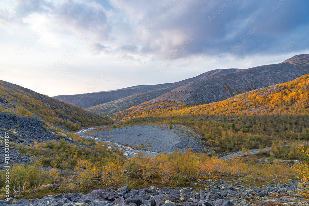 View to Mannepakhp river valley at Khibiny mountains. Stones and small trees. Early autumn in arctic tundra region. Kola peninsula, Murmansk region, Russia.