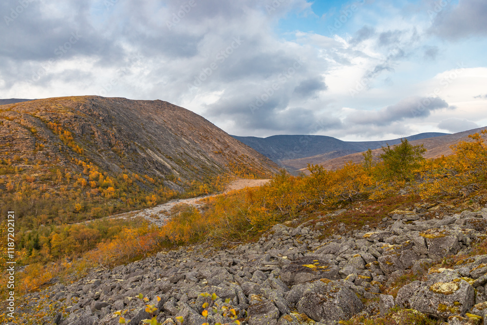 View to Mannepakhp river valley at Khibiny mountains. Stones and small trees. Early autumn in arctic tundra region. Kola peninsula, Murmansk region, Russia.