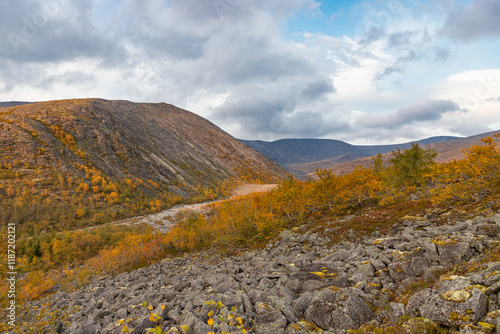 Obraz na płótnie View to Mannepakhp river valley at Khibiny mountains. Stones and small trees. Early autumn in arctic tundra region. Kola peninsula, Murmansk region, Russia. w salonie