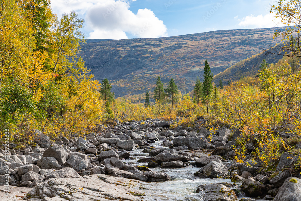 View to Mannepakhp river at Khibiny mountains. Early autumn in arctic tundra region. Kola peninsula, Murmansk region, Russia.