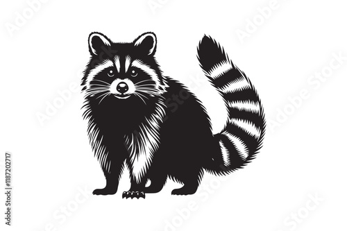 Raccoon Silhouette Vector Animal Illustration 