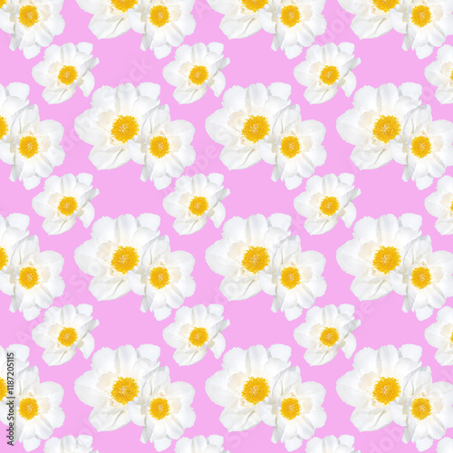 White Flowers on a Vibrant Lavender Background Pattern