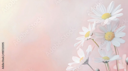 Obraz na płótnie Ethereal White Daisies in Dreamy Summer Light. Artistic Nature Photography with Fresh Marguerite Flowers Against Soft Pastel Peachy Background with Watercolor Effect w salonie