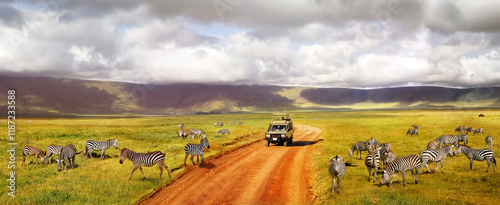 Bild auf Leinwand Safari in Ngorongoro Crater National park