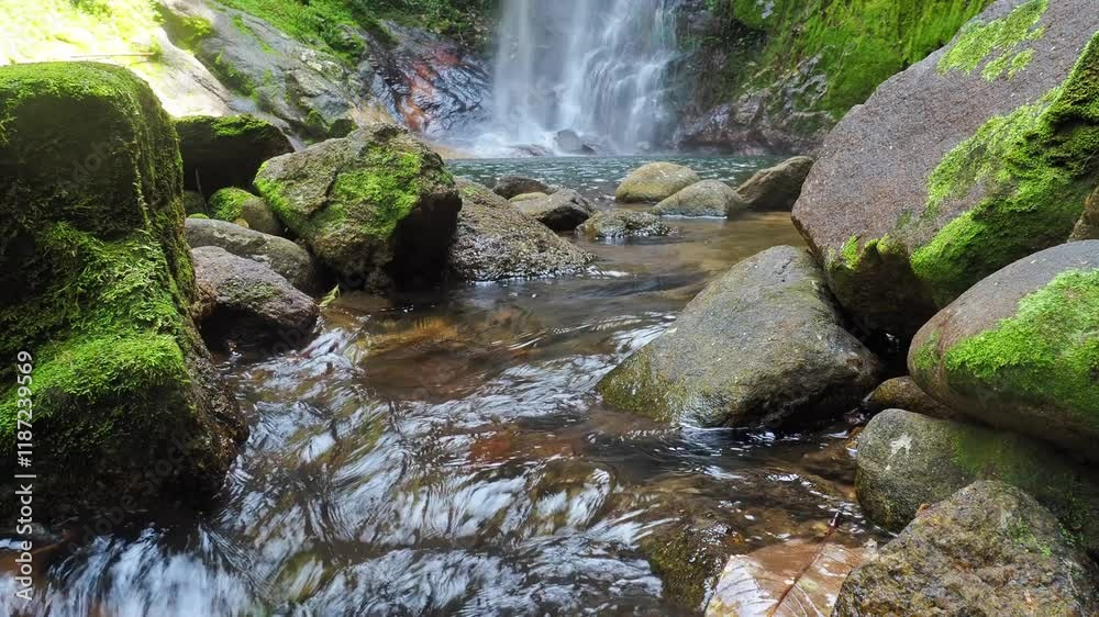 Serene Waterfall Stream: Moss-covered rocks embrace a crystal-clear stream flowing from a lush waterfall. Tranquil nature scene perfect for relaxation and escapism. Serene Waterfall Stream: Moss-covered rocks embrace a crystal-clear stream flowing from a lush waterfall. Tranquil nature scene perfect for relaxation and escapism.