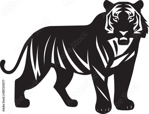 illustration of a tiger , tiger  printable high quality EPS file photo