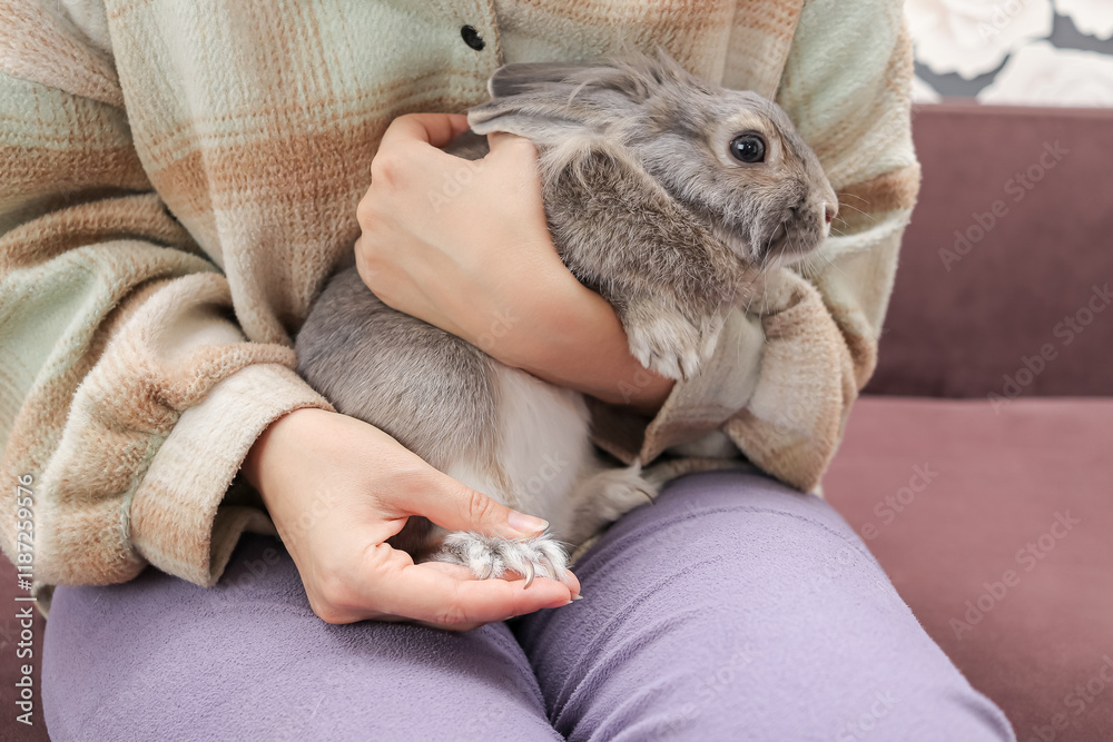 The owner shows the overgrown claws of a rabbit on its hind leg. Preparing to trim claws at home The owner shows the overgrown claws of a rabbit on its hind leg. Preparing to trim claws at home