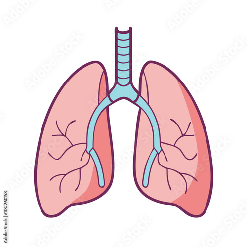 lungs for breathing exercises icon, lungs for breathing exercises vector,.