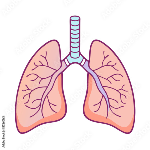 lungs for breathing exercises icon, lungs for breathing exercises vector,.
