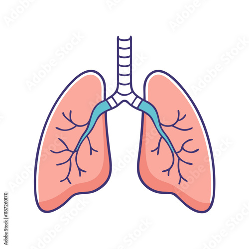 lungs for breathing exercises icon, lungs for breathing exercises vector,.