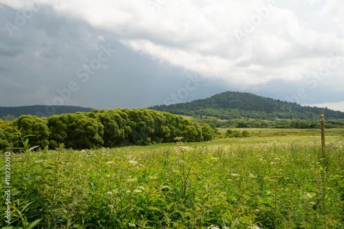 Bieszczady - widok na góry z zielonych torfowisk a na tle chmury burzowe photo