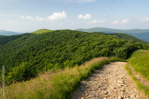 Fototapeta Naklejka Na Ścianę i Meble -  Bieszczady i droga na Rawki, widok na szczyty