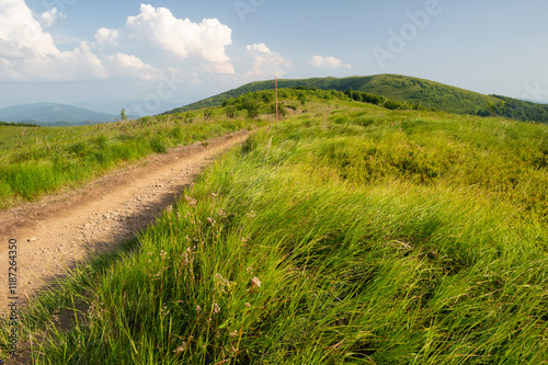 Bieszczady i szlak na Rawki, widok na zielone trawy i szczyt photo