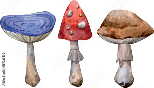 Watercolor hand painted mushrooms. Amanita, magic, nature, mystical forest. Illustration isolated on white background. Use it for postcards, invitations, and scrapbooking.