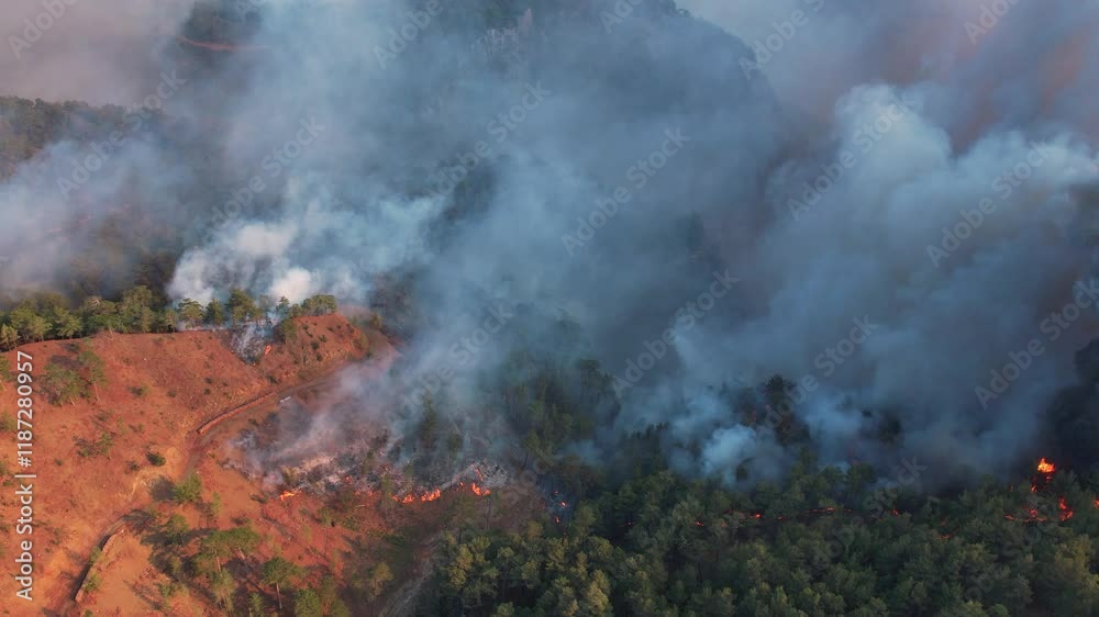 An aerial view shows a forest fire engulfing a hillside, with dense smoke rising and flames visible among the trees. The video the destructive power of the fire and its effect on the environment An aerial view shows a forest fire engulfing a hillside, with dense smoke rising and flames visible among the trees. The video the destructive power of the fire and its effect on the environment