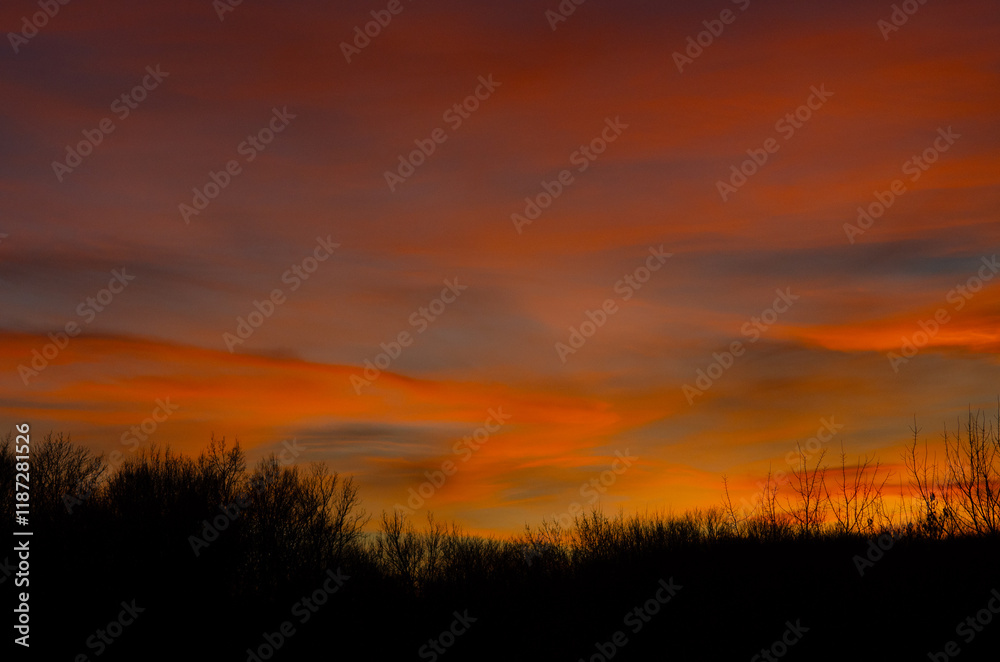 Fototapeta premium Twilight. Evening sky, clouds at sunset with red, orange, yellow sunlight. Dark horizon of trees.