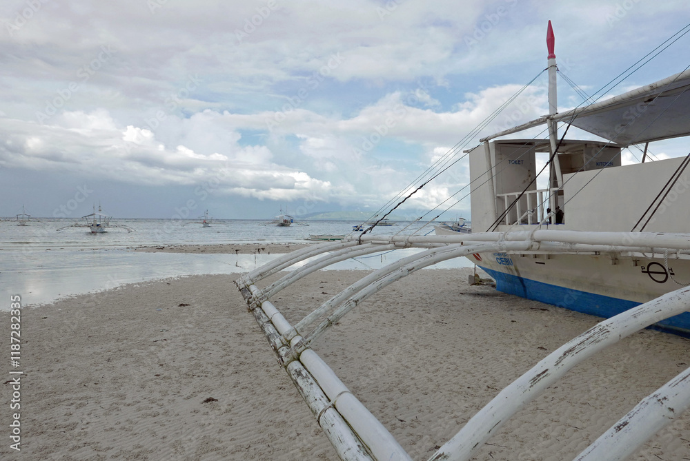 Obraz premium Bagka on the beach.