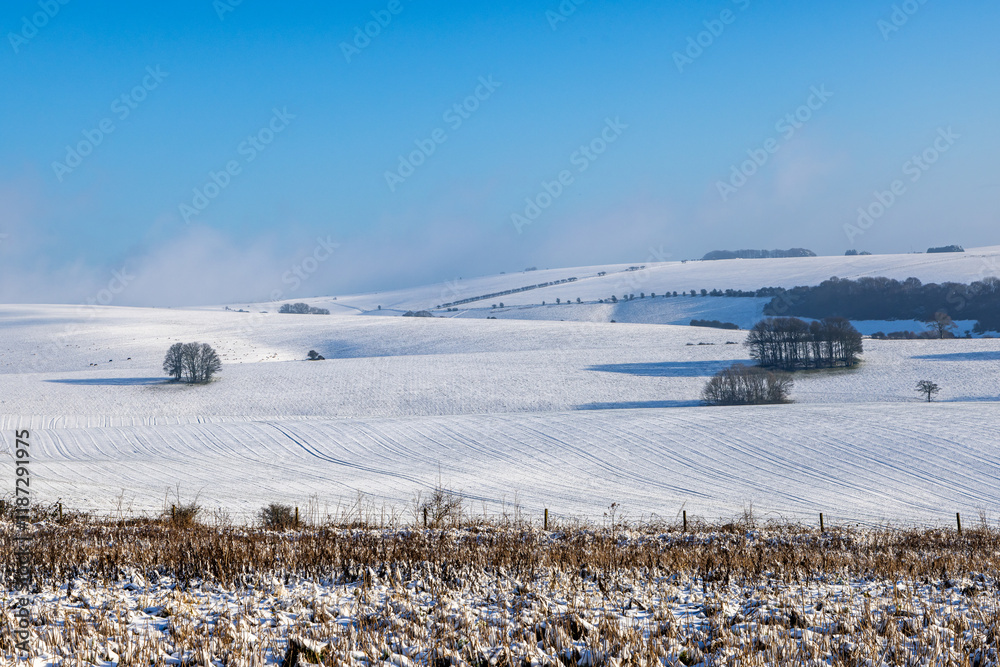 Fototapeta premium An idyllic snow covered South Downs landscape, at Stanmer Down