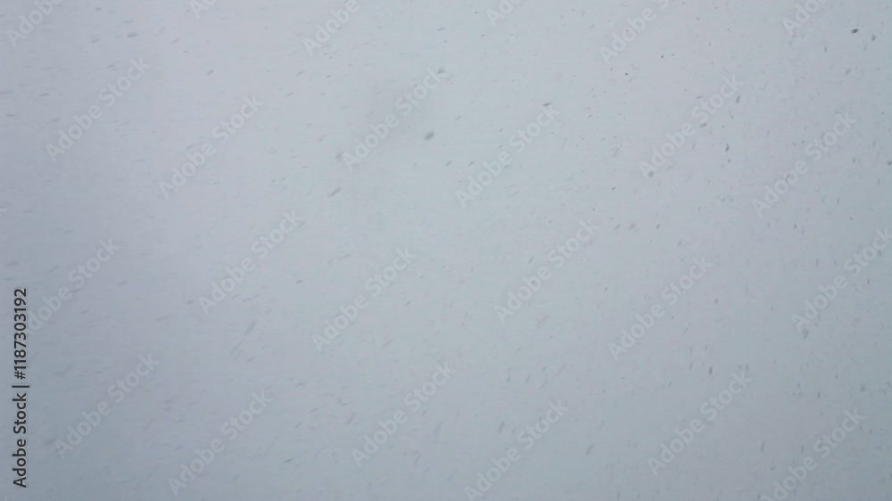 snowfall blizzard, white background with chaotically flying snow flakes snowfall blizzard, white background with chaotically flying snow flakes