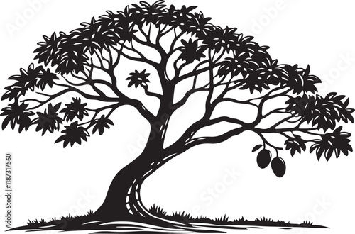 Mango tree silhouette vector