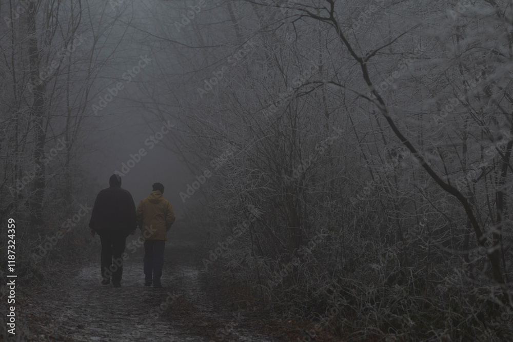 Two figures stroll along a foggy path that is enveloped by a serene grove of trees amidst the cold and quiet of winter conditions Two figures stroll along a foggy path that is enveloped by a serene grove of trees amidst the cold and quiet of winter conditions