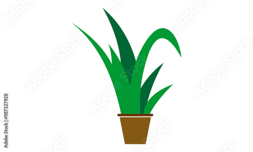 houseplant vector design