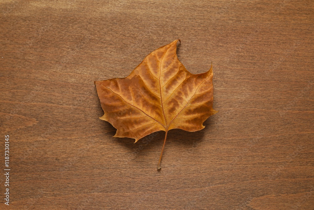 autumn leaf on wooden background autumn leaf on wooden background