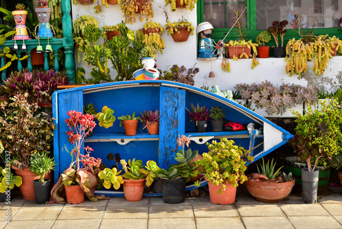 Blue  boat, cacti, succulents plants in flower pots and creative decoration outside. photo