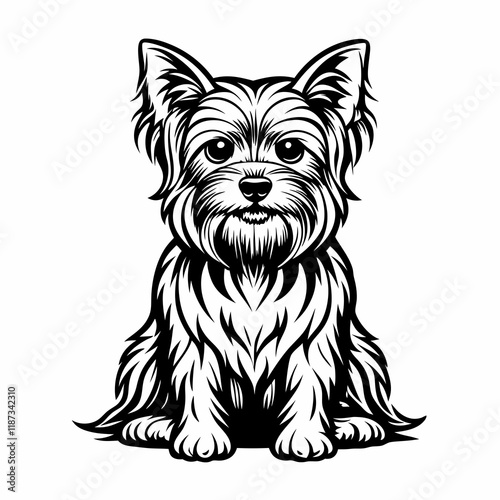 Hand-drawn Yorkshire Terrier in black-and-white engraving style, vintage dog breed illustration for grooming services, pet salon branding or classic posters. Concept: breed-specific logo design, dog s