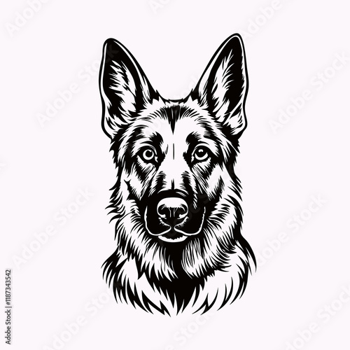 Detailed black and white illustration of a German Shepherd dog's head