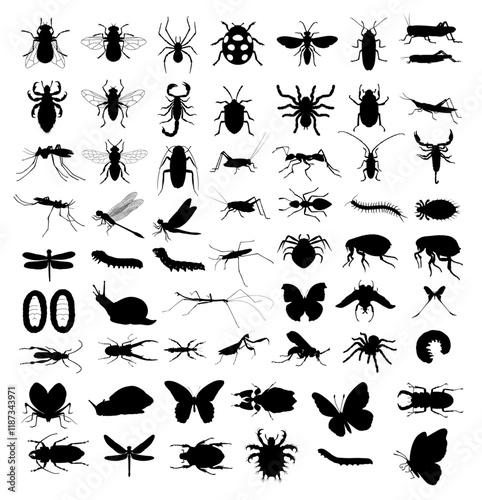 Insects Silhouette Vector Pack graphic drawing illustration for stickers, streetwear, t-shirts, logos, print-on-demand, print, or branding