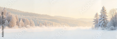 Winter landscape with snowy trees and misty background
