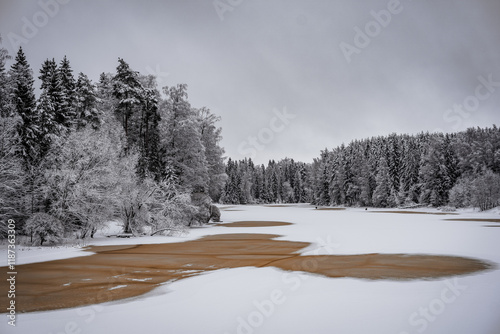 Calm winter landscape with frozen river and snowy forest photo