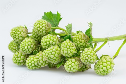 Wallpaper Mural Green Strawberries Arranged on White Background for Design Purposes Torontodigital.ca