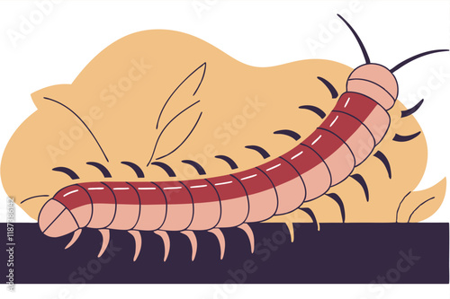 Centipede scolopendra insect vector illustration
