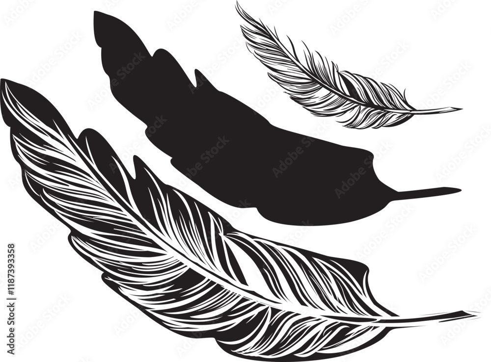Obraz premium Feather beautiful vector drawing set