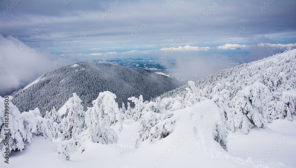 Panorama of the foggy winter landscape in the mountain Panorama of the foggy winter landscape in the mountain