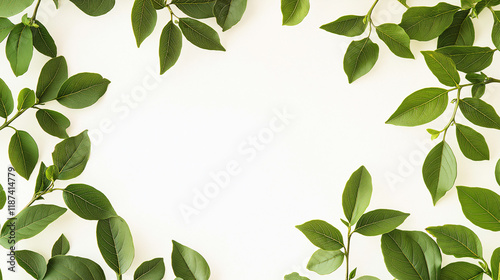 Minimalist green foliage border design white negative space natural watercolor vibrant leaves modern botanical invitation background clipart arrangement frame border wallpaper card green invitation